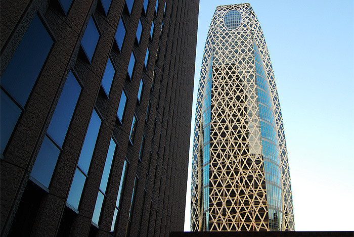 shinjuku cocoon building framed